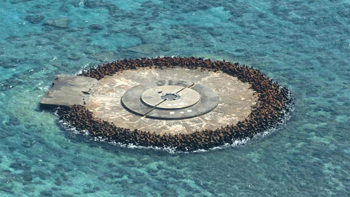 Japonya, Okyanusun Ortasındaki Bu İki Adet 