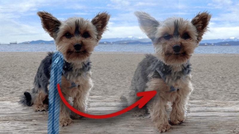 Windows 10 ve 11, Artık Fotoğraflarınızdaki İstemediğiniz Kişi ve Nesneleri Silebilecek