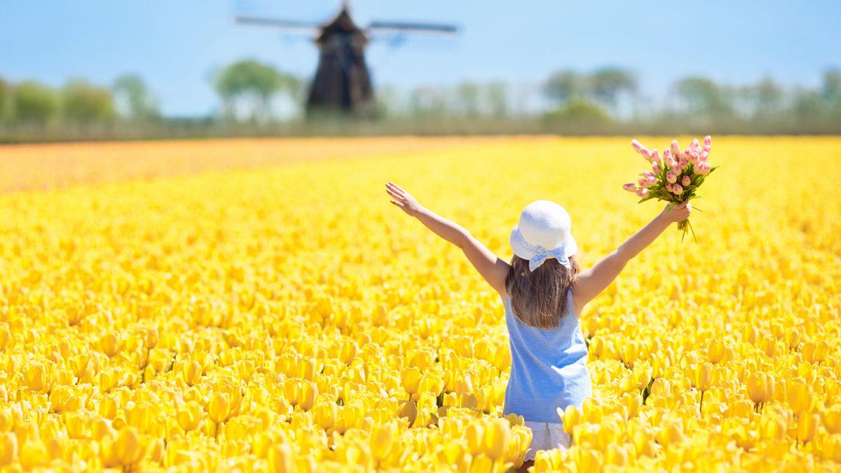 Yüzen Bir Çiftlikleri Var! Hollanda’nın Ne Kadar İlginç Bir Ülke Olduğunu Kanıtlayan Bilgiler