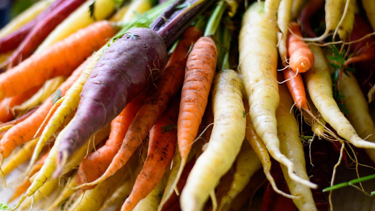 Yüzen Bir Çiftlikleri Var! Hollanda’nın Ne Kadar İlginç Bir Ülke Olduğunu Kanıtlayan Bilgiler