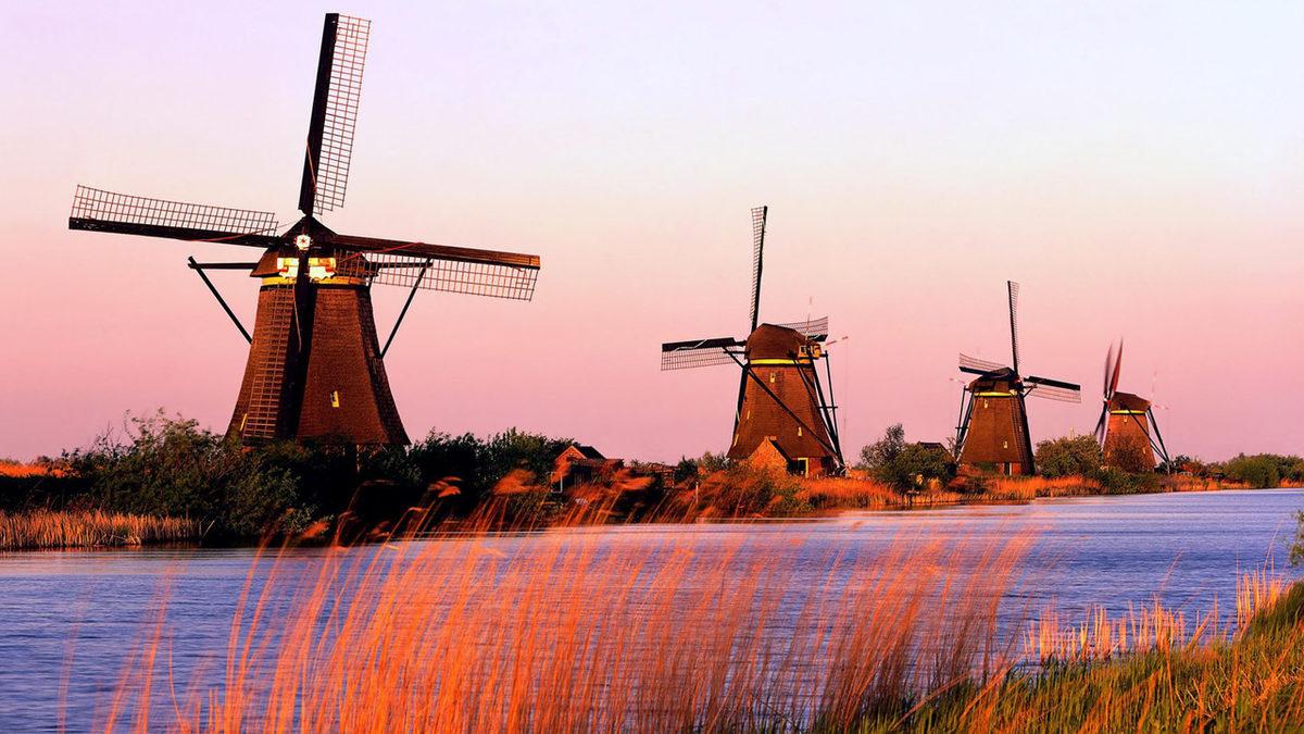 Yüzen Bir Çiftlikleri Var! Hollanda’nın Ne Kadar İlginç Bir Ülke Olduğunu Kanıtlayan Bilgiler