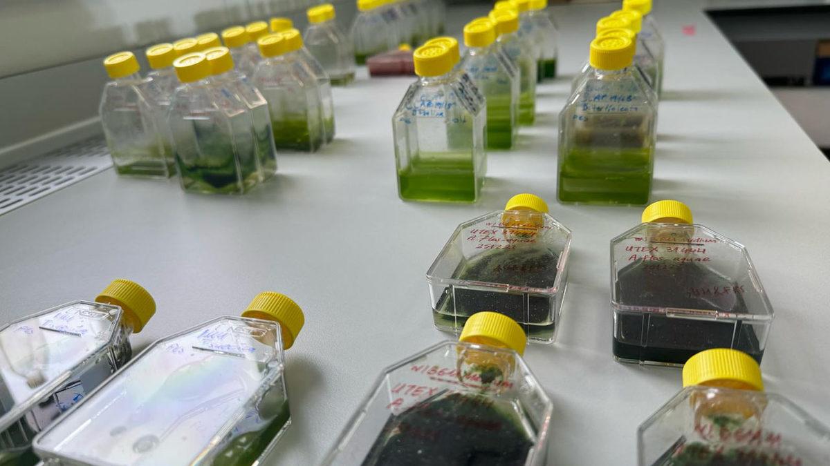 Alper Gezeravcı’nın Uzayda Gerçekleştirdiği 