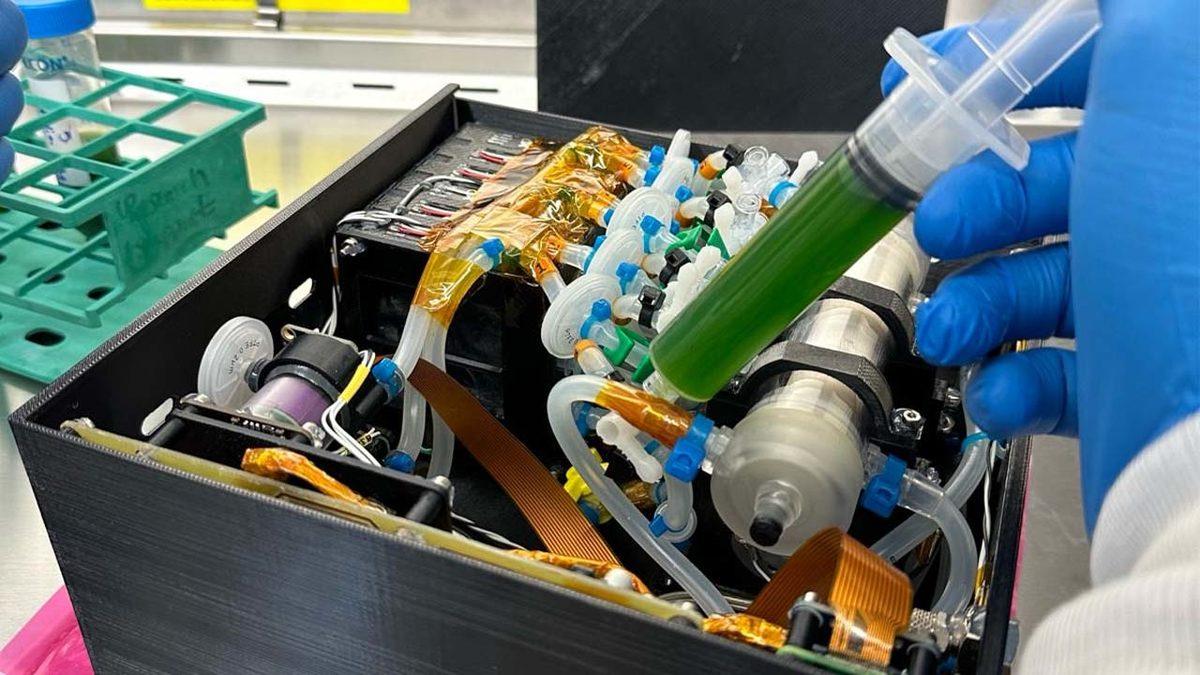 Alper Gezeravcı’nın Uzayda Gerçekleştirdiği 