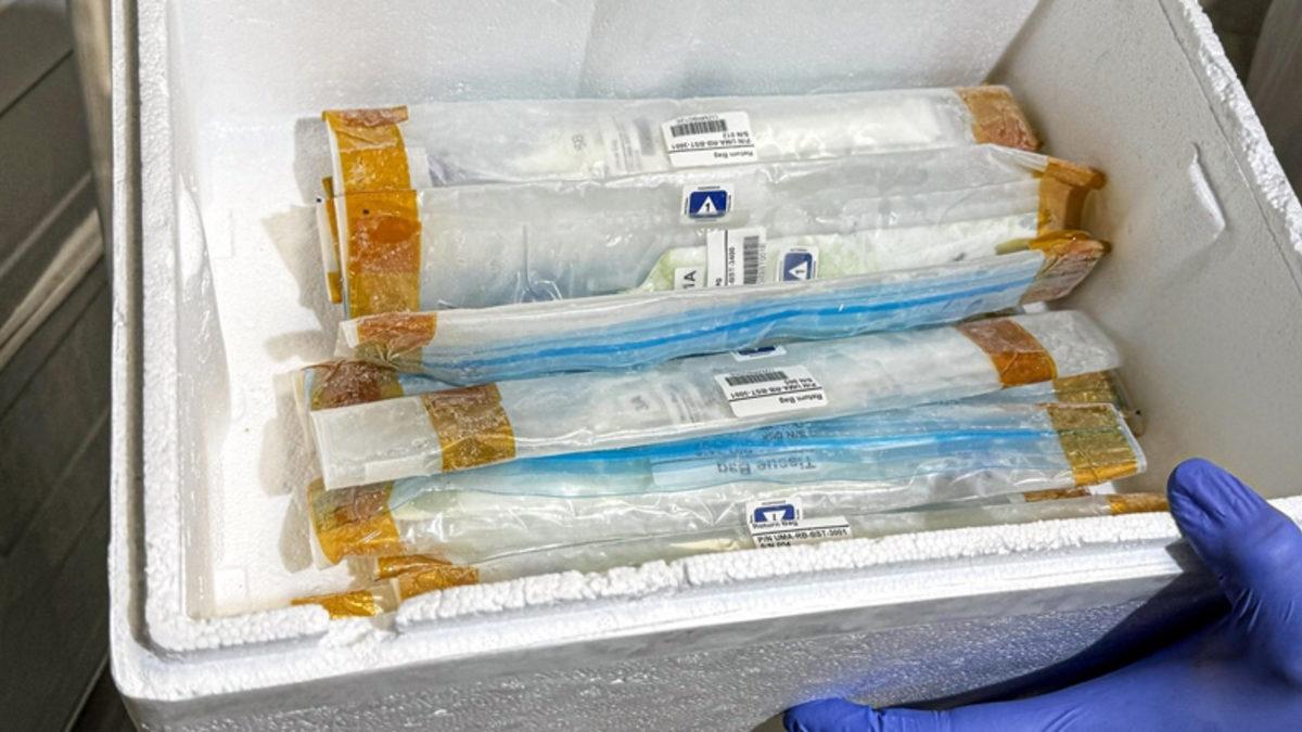 Alper Gezeravcı’nın Uzayda Gerçekleştirdiği 