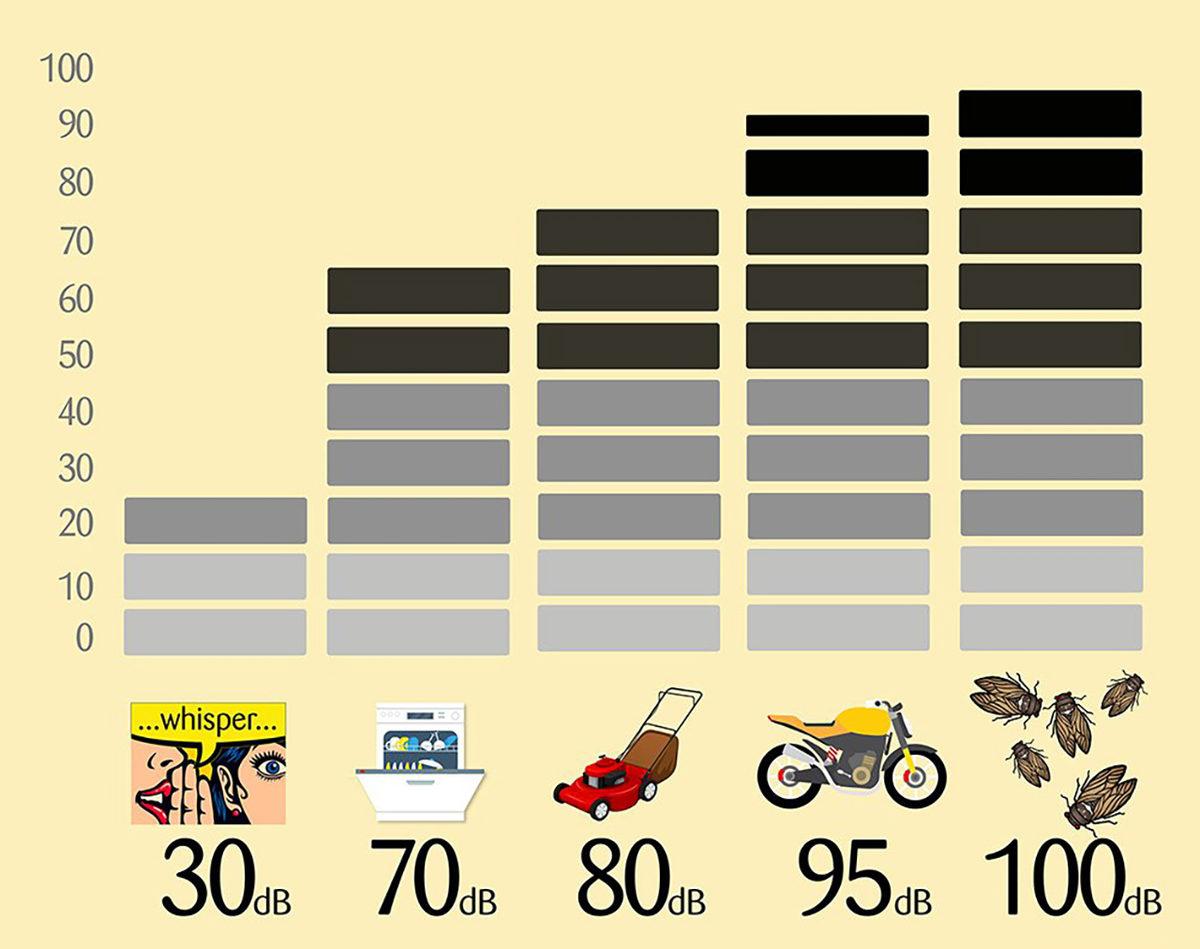 Sürekli Cır Cır Diye Ötmelerinin Arkasında Mantıklı Bir Sebep Yatıyor: Ağustos Böceği Hakkında 11 Enteresan Gerçek