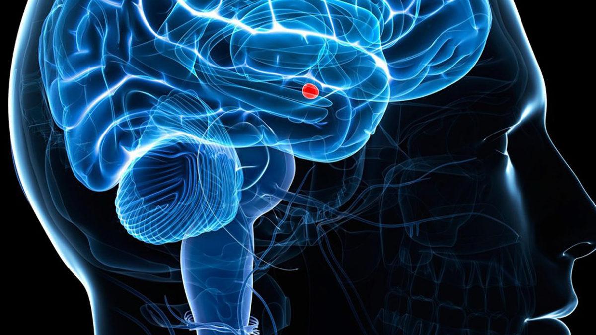 Yıllar Öncesinde Yaşadığınız En Küçük Anıyı Bile Unutamadığınızı Düşünsenize: Hipertimezi Olan Kişiler İşte Tam da Bu Durumdalar!