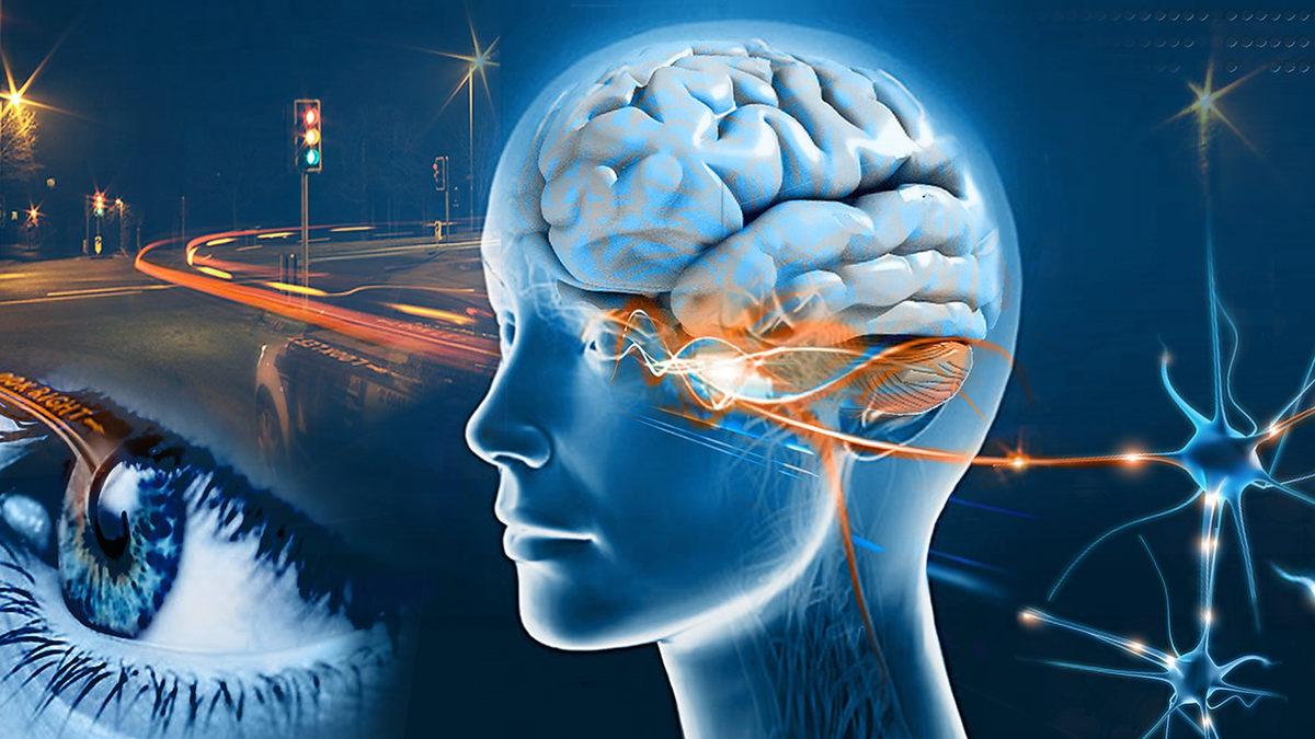 Yıllar Öncesinde Yaşadığınız En Küçük Anıyı Bile Unutamadığınızı Düşünsenize: Hipertimezi Olan Kişiler İşte Tam da Bu Durumdalar!