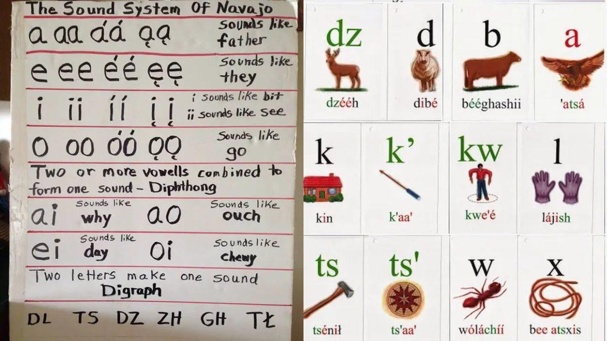 Dünyanın En Zor Dili 