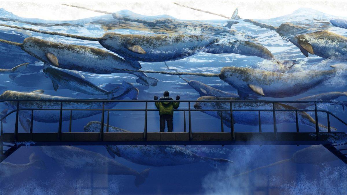 Denizgergedanlarını Akvaryumlarda Hiç Görmemenizin Karanlık Sebebi