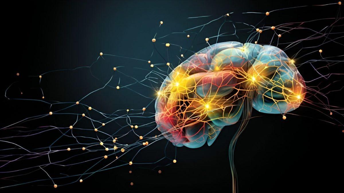 Hiçbir Şey Yapmadığımızda Beynimiz Kendini Güç Tasarrufu Moduna Alıp Dinleniyor mu? Cevap, Sandığınız Gibi Değil!