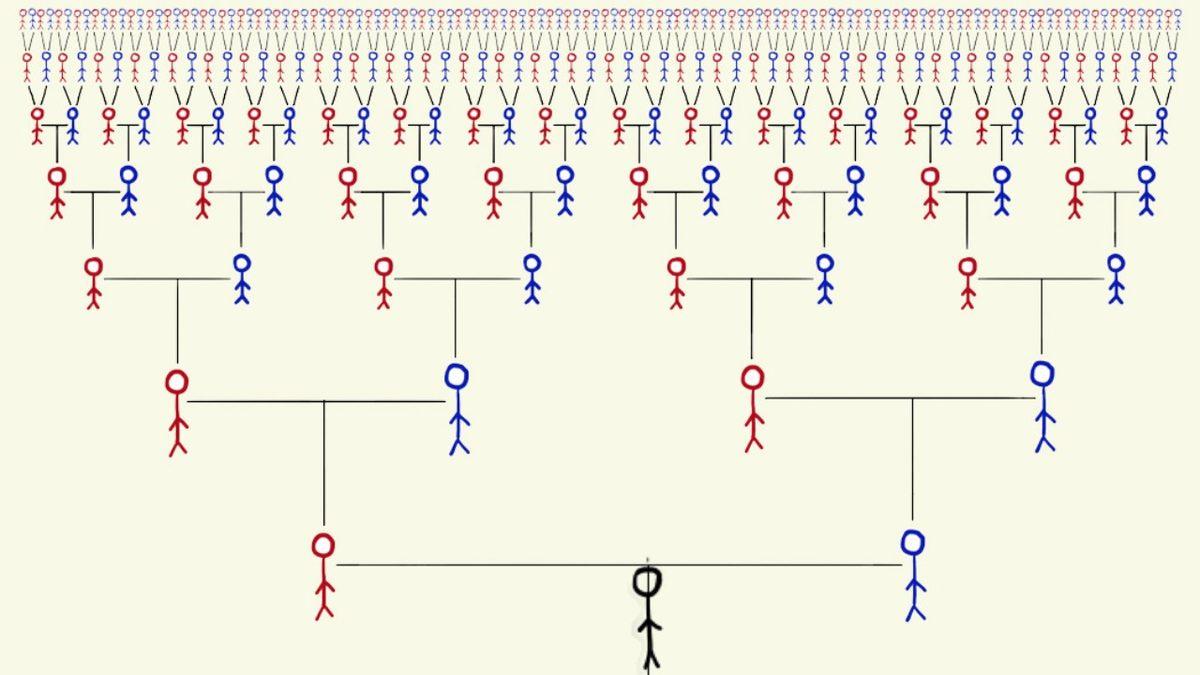 Dünyanın Öteki Ucunda Yaşayan Rastgele Biriyle Akraba Olma İhtimalimiz Nedir?