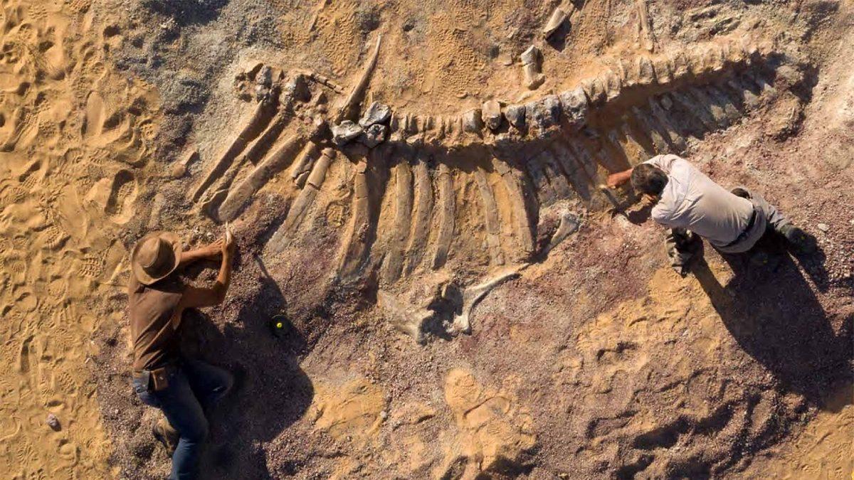 Yaklaşık 12 Tane Türkiye Büyüklüğündeki Sahra Çölü’nün Altında Neler Gizli? Emin Olun, Kumdan Çok Daha Fazlası Var!