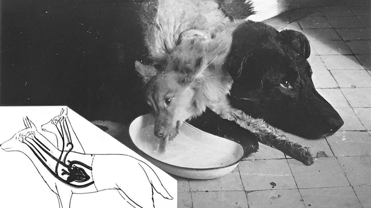 Sovyetler Birliği’nin “Vay be, Bunu da mı Onlar İcat Etmiş?” Diyeceğiniz Zamanın Ötesinde Buluşları