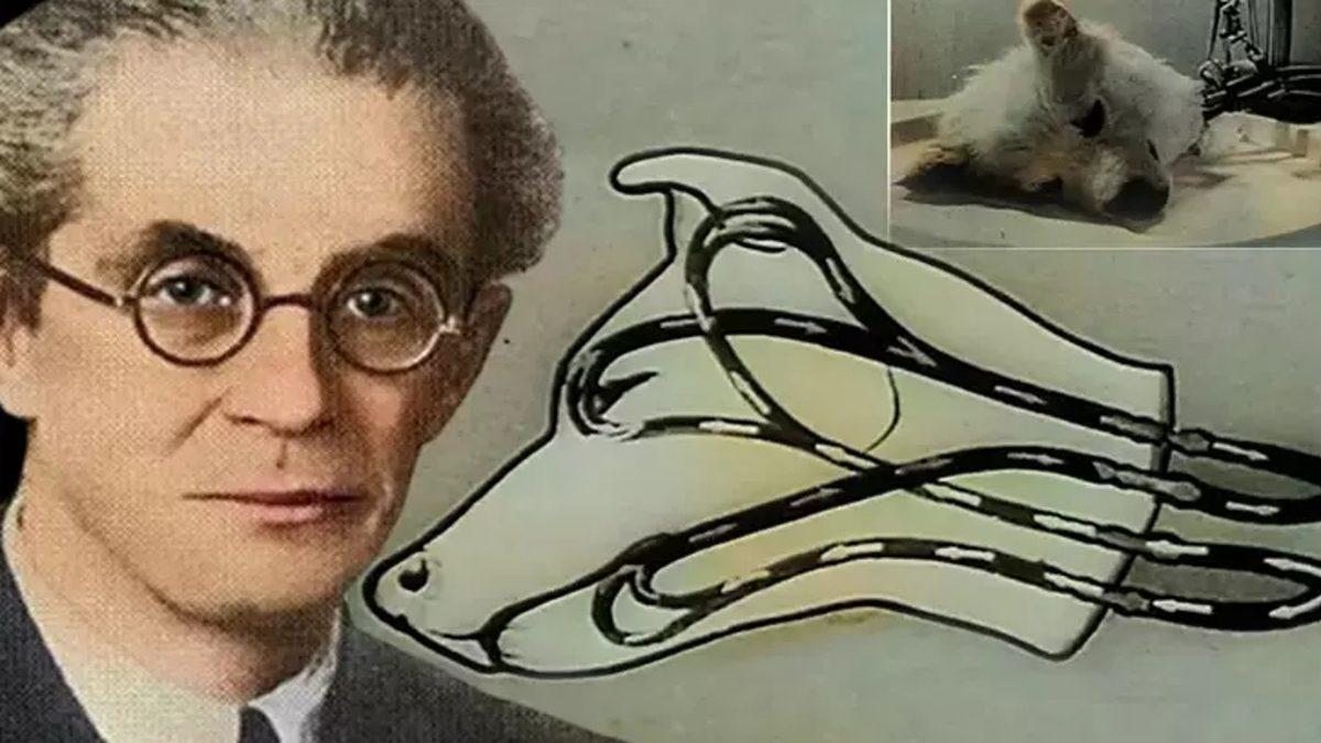 Sovyetler Birliği’nin “Vay be, Bunu da mı Onlar İcat Etmiş?” Diyeceğiniz Zamanın Ötesinde Buluşları