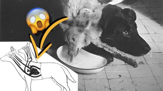 Sovyetler Birliği’nin “Vay be, Bunu da mı Onlar İcat Etmiş?” Diyeceğiniz Zamanın Ötesinde Buluşları