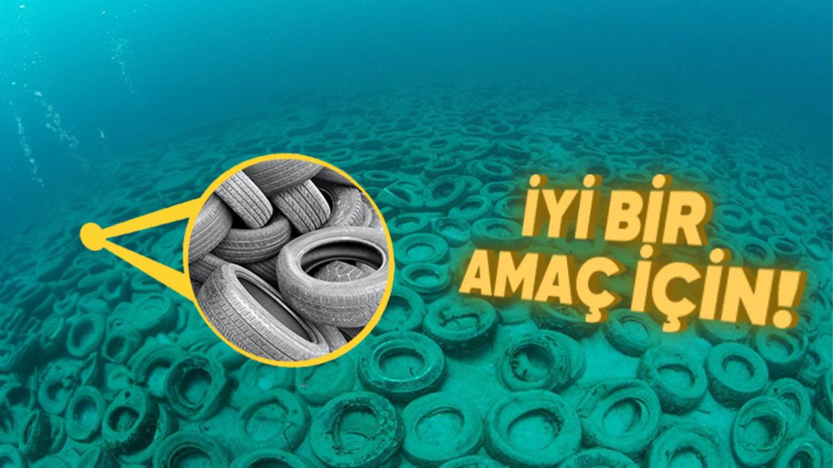 Okyanusun Dibine 2 Milyon Adet Araba Lastiği Atılmasının Hiç Tahmin Edemeyeceğiniz Sebebi
