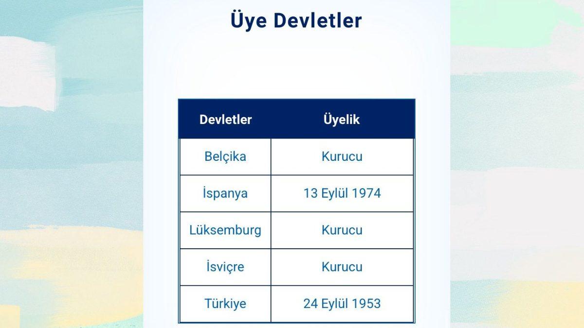 Türkiye’deki Aile Cüzdanlarının Üzerinde Neden Sadece Fransızca Çevirisi Var?