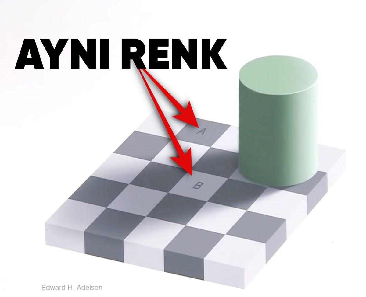 Bu Lacivert-Mavi Elbise ile Sarı-Beyaz Elbise Neden Aynı Renk Görünüyor? Tane Tane Anlattık...