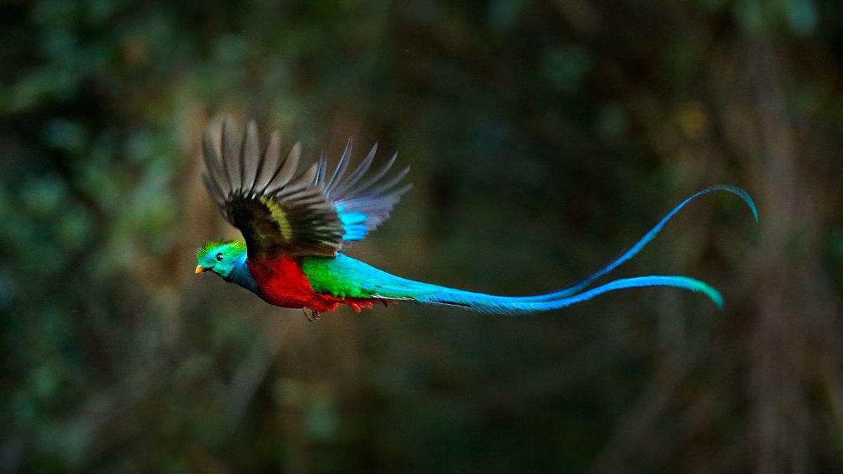 Kahve ve Çikolata Diyarı Guatemala Hakkında Bu Bilgileri Öğrendikten Sonra Uçak Bileti Alasınız Gelecek