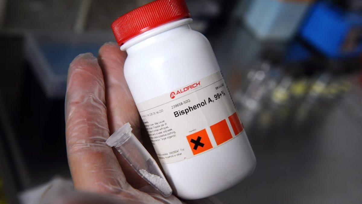 Fiş ve Makbuz İstifçileri Buraya: Bu İçeriği Okuduktan Sonra Ceplerinizde Biriken Kâğıtlara Bakış Açınız Değişebilir!