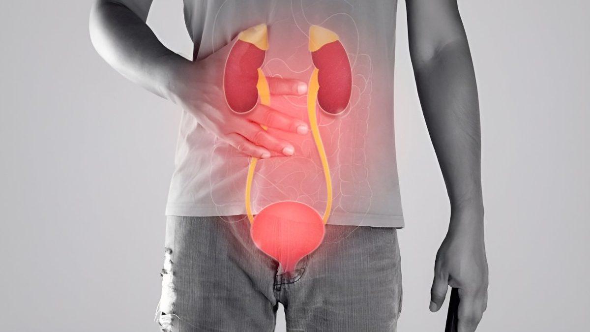 Fiş ve Makbuz İstifçileri Buraya: Bu İçeriği Okuduktan Sonra Ceplerinizde Biriken Kâğıtlara Bakış Açınız Değişebilir!