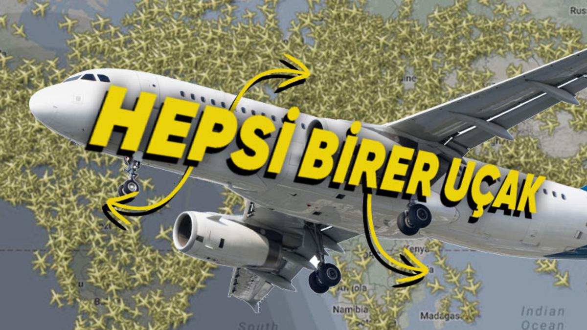 Dünya Üzerinde Bir Günde ’Aynı Gökyüzünü Paylaşan’ Toplam Kaç Uçak Vardır?