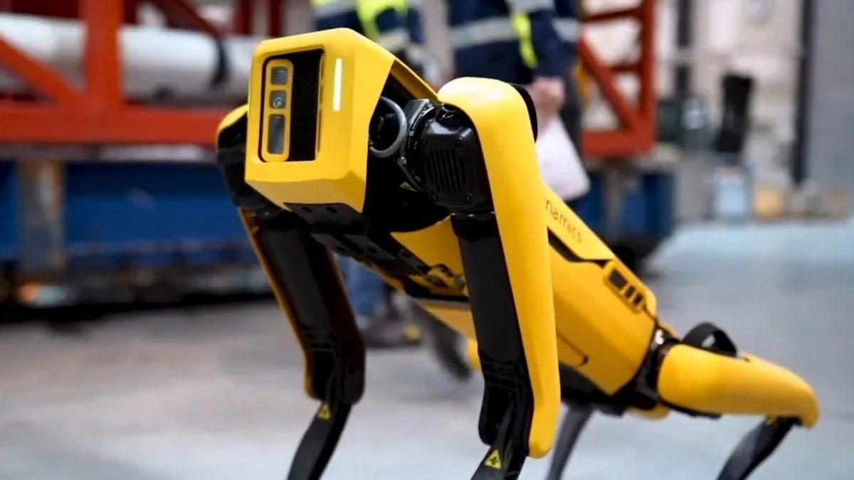 Robot Polis Köpeği, Silahlı Çatışmada Vuruldu