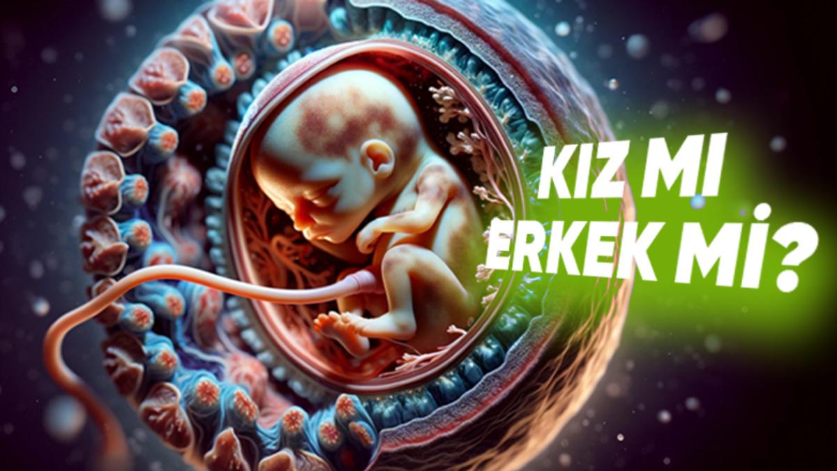 Bir Zamanlar Hepimizin Aynı Cinsiyette Olduğunu Duyunca Geçmişinize İnmek İsteyeceksiniz!