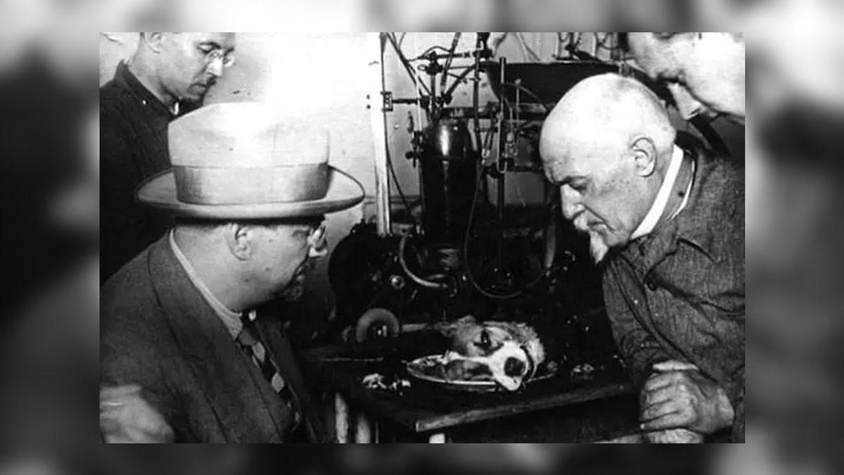 Ölü Bir Köpeği, Kendi İcadı Olan Cihazla Hayata Döndürmeyi Başaran Sovyet Bilim İnsanının Çılgın Deneyi