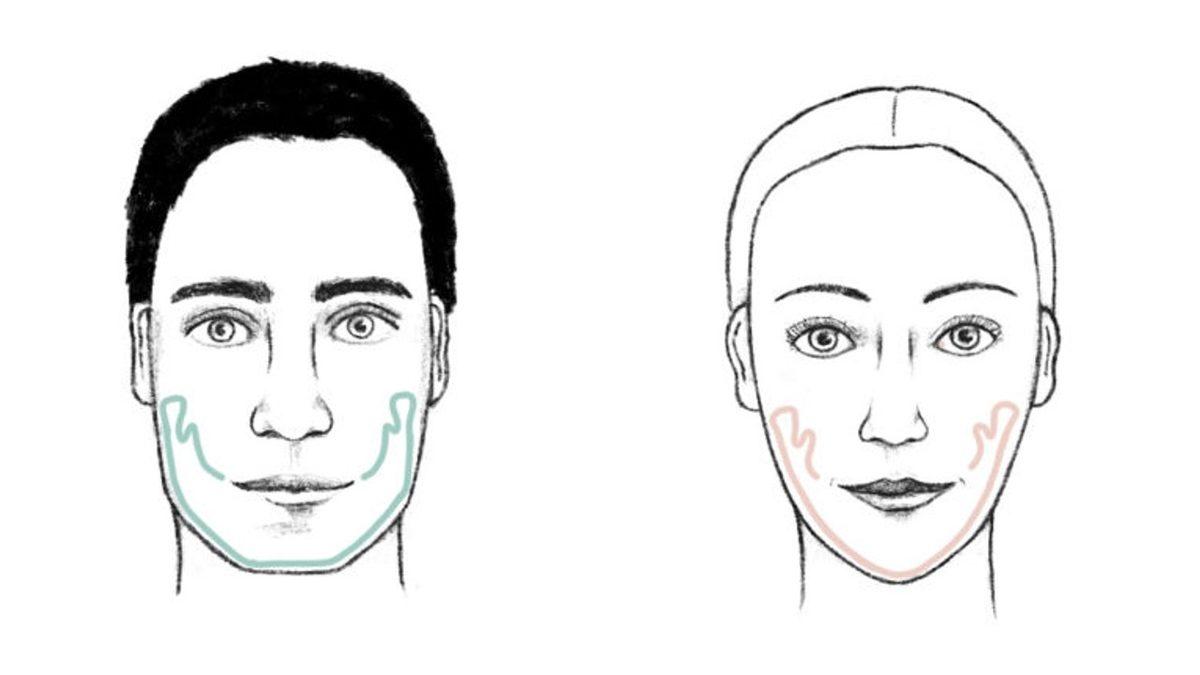 Çene Ucunun, Koskoca Hayvanlar Aleminde Sadece İnsanlarda Olmasının Sebebi Ne? Cinsel Seçilim Bile Rol Oynuyor Olabilir!