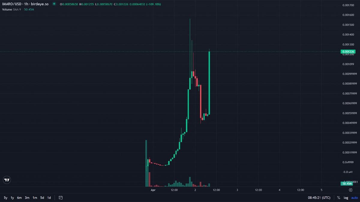 Türk Yapımı Meme Coin 