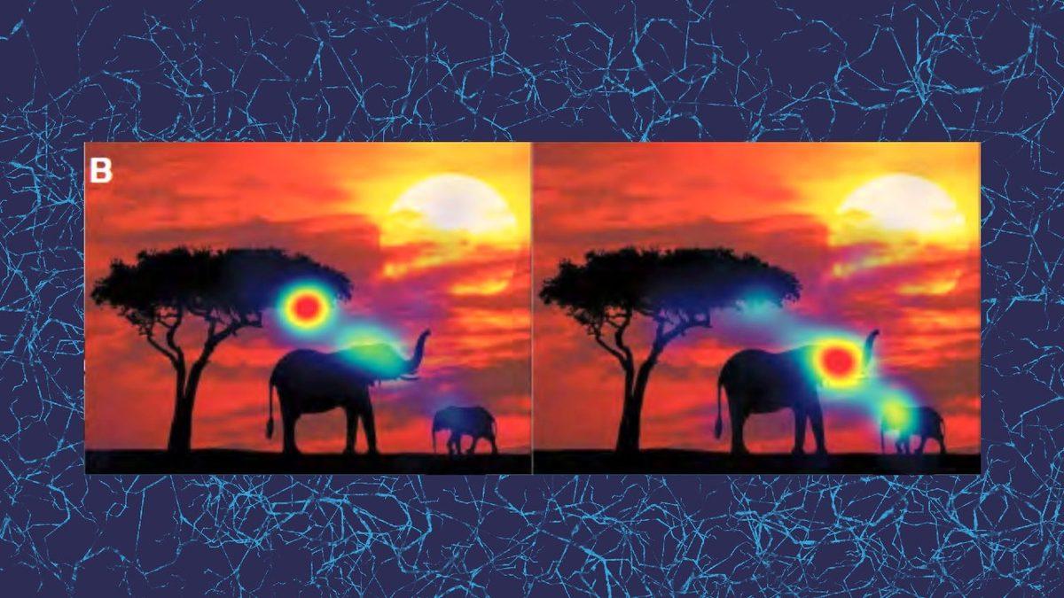 Otizmli Bireyler Dünyayı Nasıl Görüyor? Aynı Yere Bakarken Gördüklerimiz Farklı (Her Bir Satırı Okurken Empati Kuracaksınız)