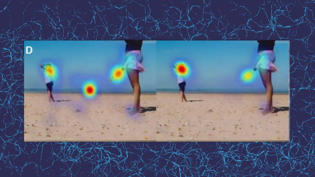 Otizmli Bireyler Dünyayı Nasıl Görüyor? Aynı Yere Bakarken Gördüklerimiz Farklı (Her Bir Satırı Okurken Empati Kuracaksınız)