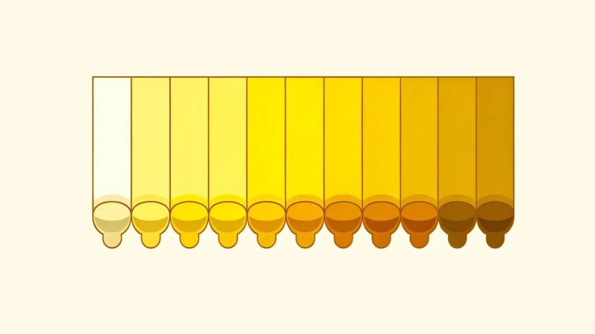 Farklı Renkte Gıdalar Tüketmemize Rağmen Neden İdrarımız İnatla Sarı Akıyor?