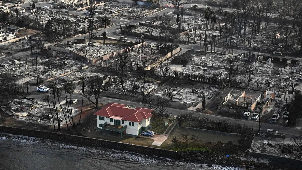 Yüzlerce Evin Yok Olduğu Hawaii Orman Yangınlarında Nasıl Oldu da Bu Evin Camı Bile Kırılmadı?