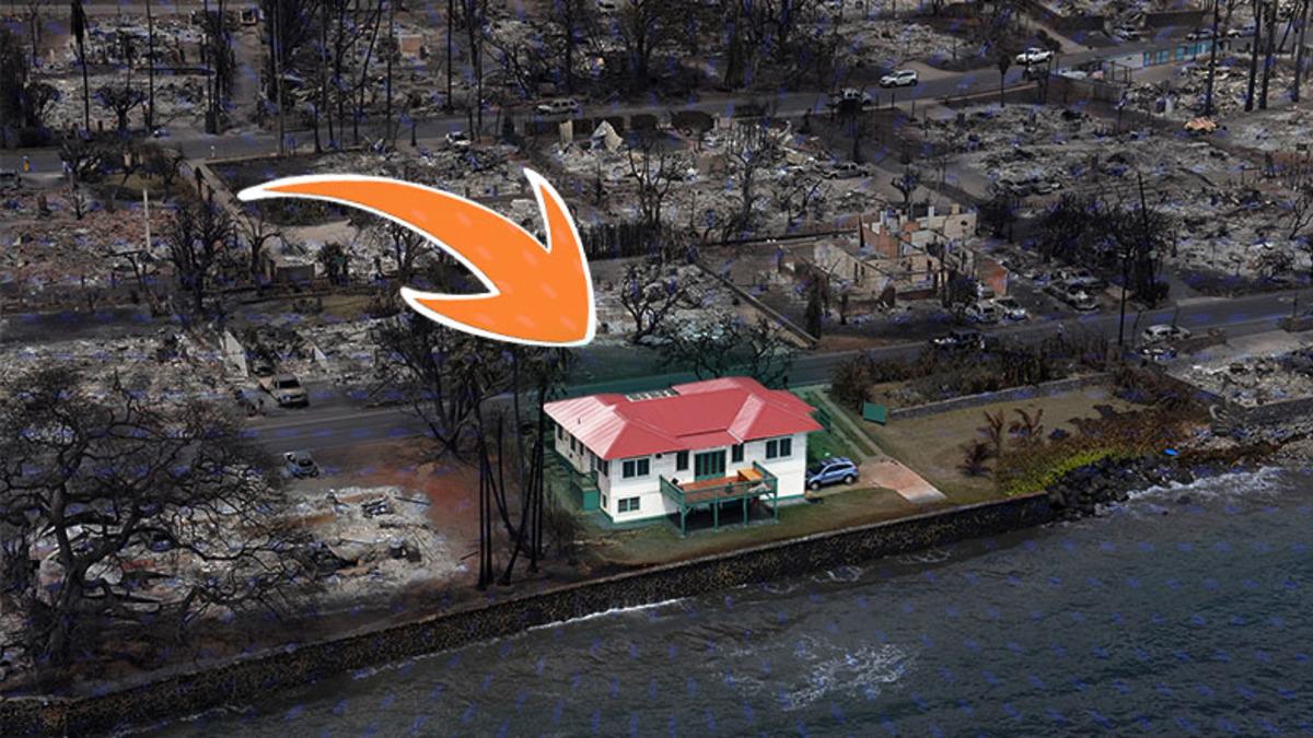 Yüzlerce Evin Yok Olduğu Hawaii Orman Yangınlarında Nasıl Oldu da Bu Evin Camı Bile Kırılmadı?