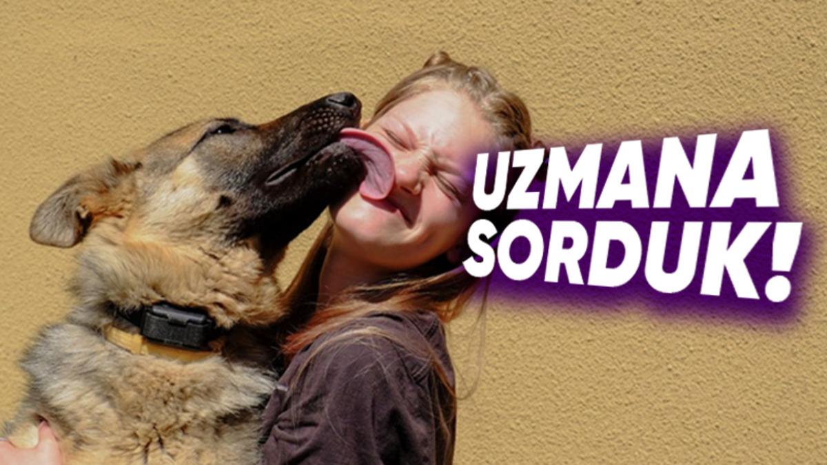 Tüy, Parazit ve Dahası... Patili Dostlarımızın Bizleri Hasta Edebileceği Düşüncesinin Gerçeklik Payı Var mı?