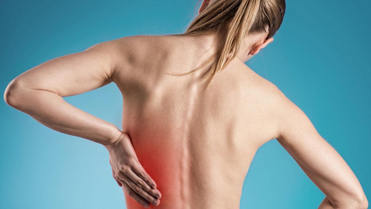 Neden Özellikle ’Sırtımızı’ Kaşımak Bize Bu Kadar Çok Zevk Veriyor ve Rahatlatıyor?