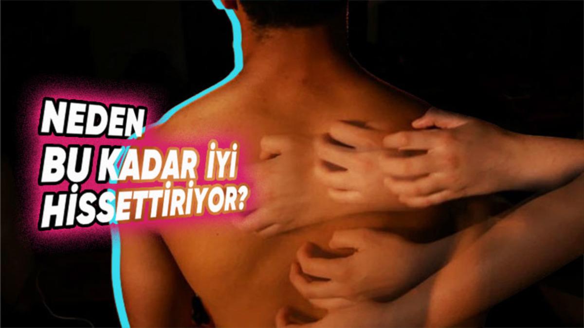 Neden Özellikle ’Sırtımızı’ Kaşımak Bize Bu Kadar Çok Zevk Veriyor ve Rahatlatıyor?