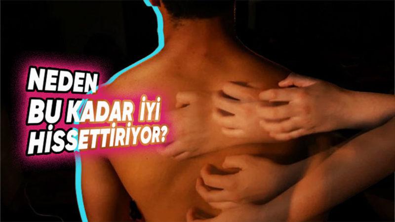 Neden Özellikle ’Sırtımızı’ Kaşımak Bize Bu Kadar Çok Zevk Veriyor ve Rahatlatıyor?