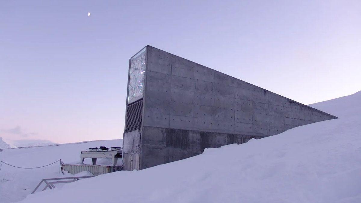 İnternetteki Tüm Veri ve İçerikleri Depolayıp Korumak Zorunda Kalsak Nasıl Bir Teknolojiye İhtiyaç Duyardık?