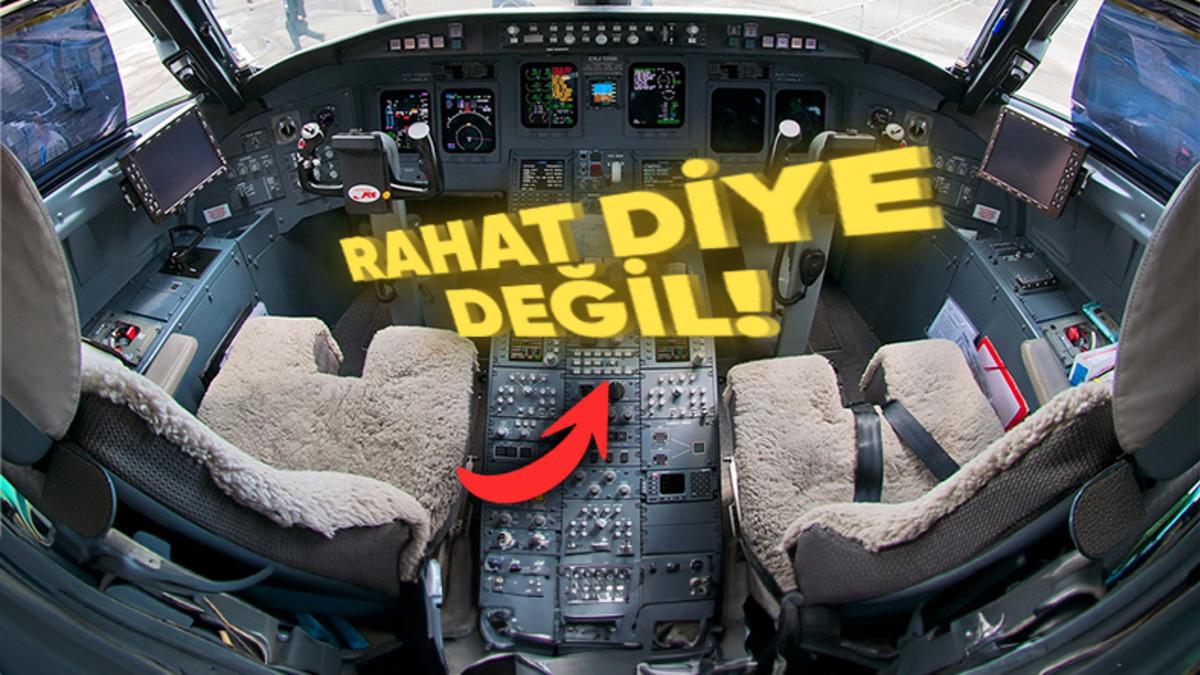 Pilot Koltuklarının Koyun Postu Kaplı Olmasının Hiç Tahmin Edemeyeceğiniz Sebebi