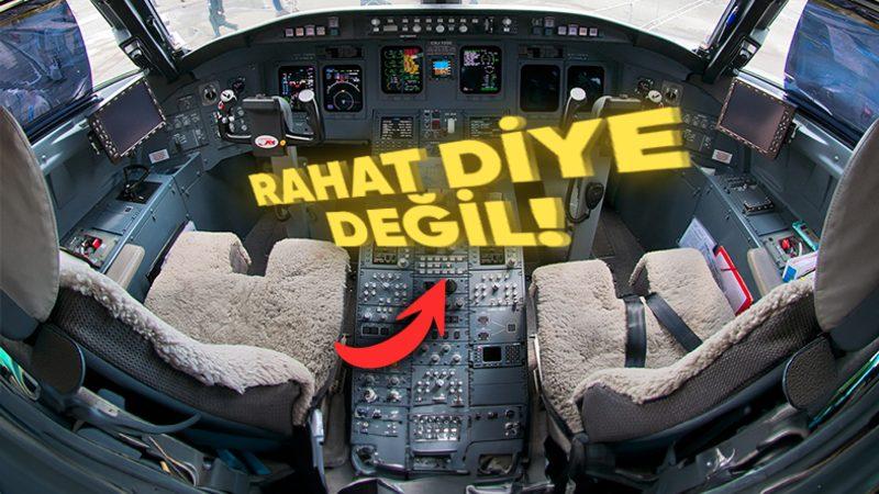 Pilot Koltuklarının Koyun Postu Kaplı Olmasının Hiç Tahmin Edemeyeceğiniz Sebebi
