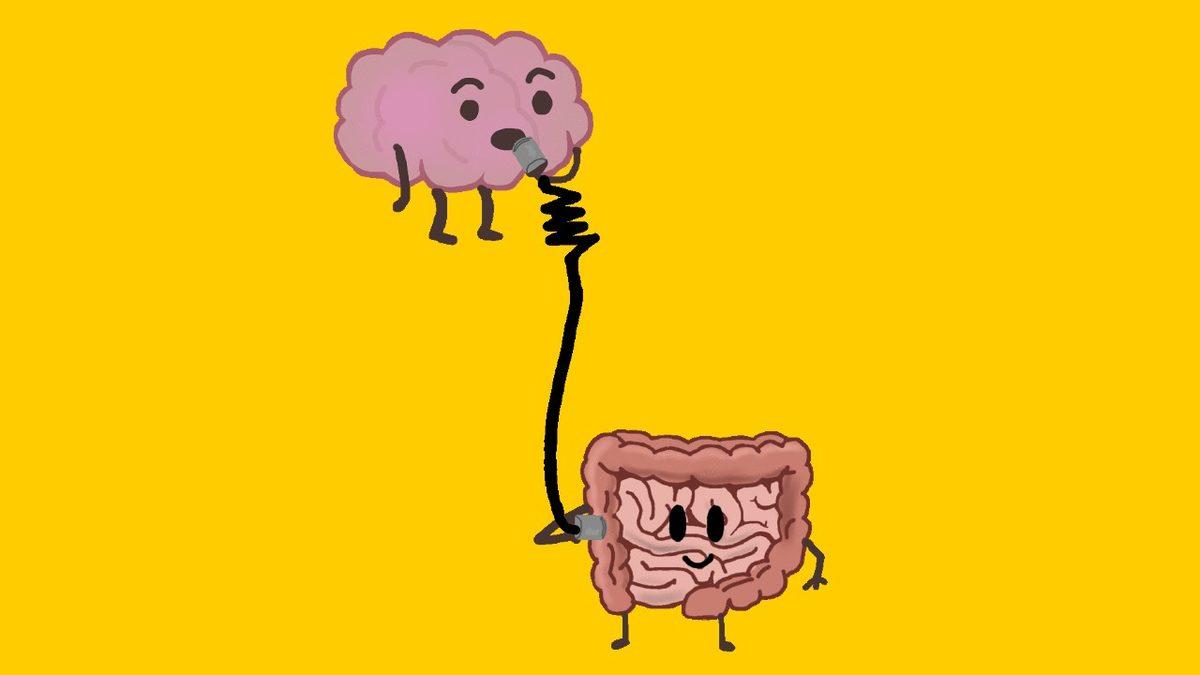 Stresli Anlarda Midemize Öküz Oturmuş Gibi Hissetmemizin Bilimsel Sebebi