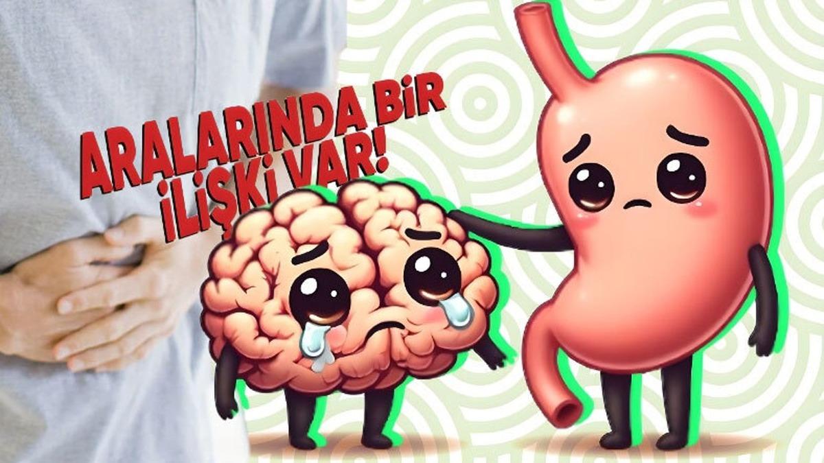 Stresli Anlarda Midemize Öküz Oturmuş Gibi Hissetmemizin Bilimsel Sebebi