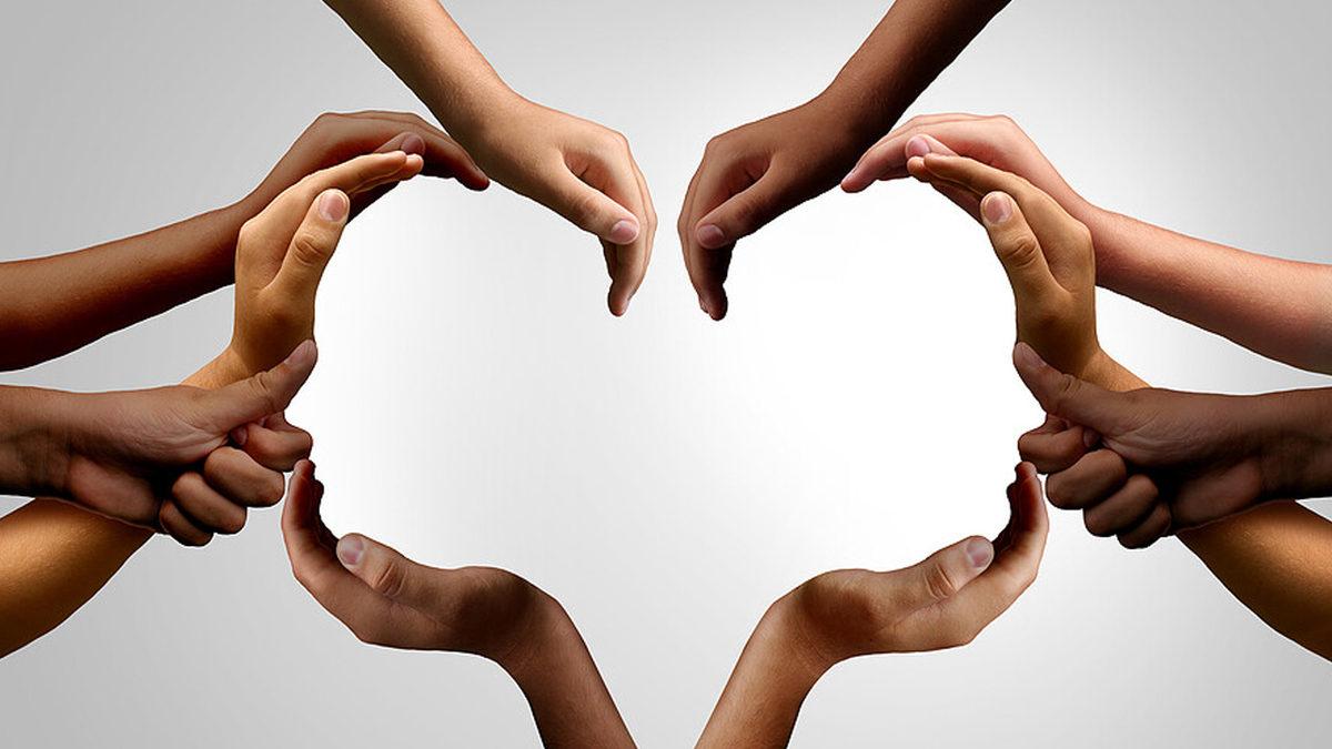 Aile, Arkadaş, Evcil Hayvan… En Çok Hangi Canlıya Karşı Değer Verip Ona Karşı Kaygı Duyarsınız? (Araştırmalara Göre Bunun Tek Bir Cevabı Var)