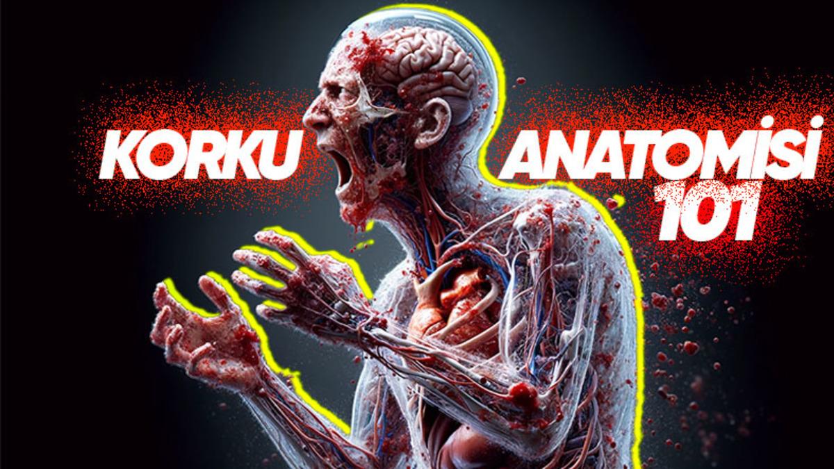 “Kan Dondurucu” İfadesini Kullanan Suç Programları Haklıymış: Korkutucu Olaylar Kanımızı Gerçekten Donduruyor! (İyi de Nasıl?)