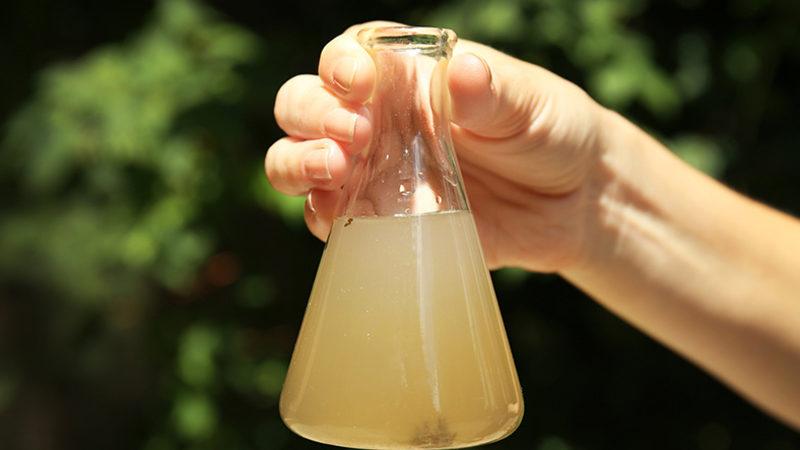 Vücuttaki Statik Elektrik ile Çalışan Su Arıtma Cihazı Geliştirildi