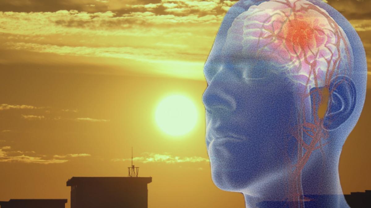 İklim Değişikliğinin İnme Kaynaklı Ölümlerin Yarısını Oluşturduğu Ortaya Çıktı