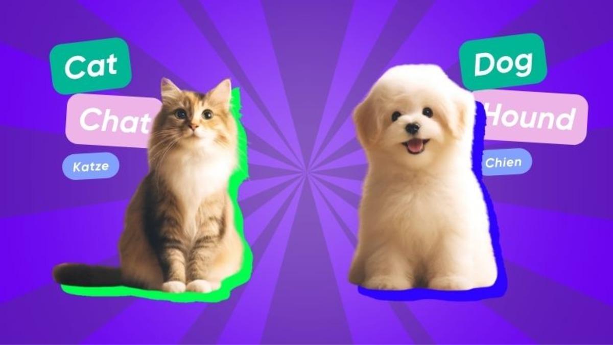 Avrupa Dillerinde "Kedi" Kelimesi Hep Benzerken "Köpek" Kelimesi Neden Bambaşka?